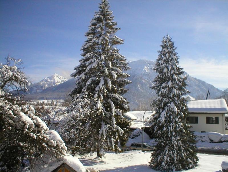 Gaestehaus Berger Inkl. Chiemgaukarte Ruhpolding Bagian luar foto